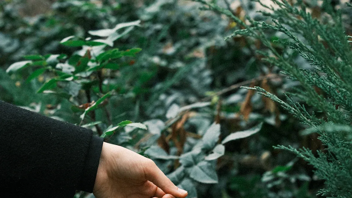 What Makes a Shopping Bag Compostable