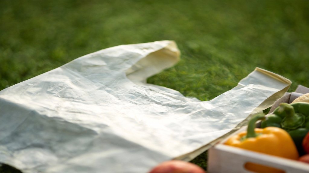 blog image 5 3d9c3fe5 e229b644