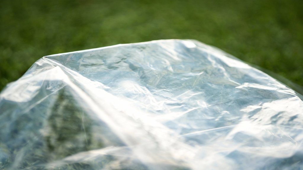 blog image 7 4c6bd5ce 6312d0b4